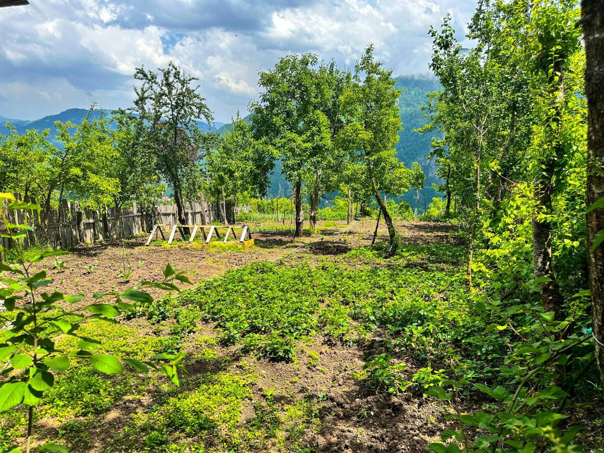 Hotel Armazi Khulo Exterior foto